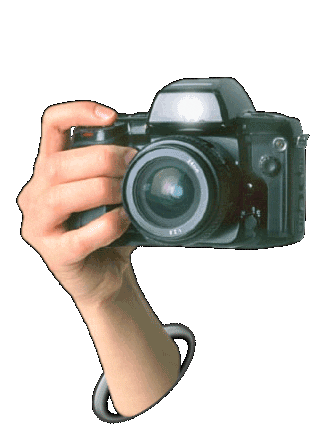 giphy 22.gif