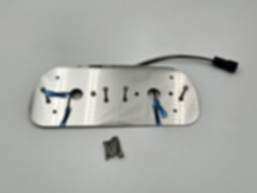 Center Dome Light Plate