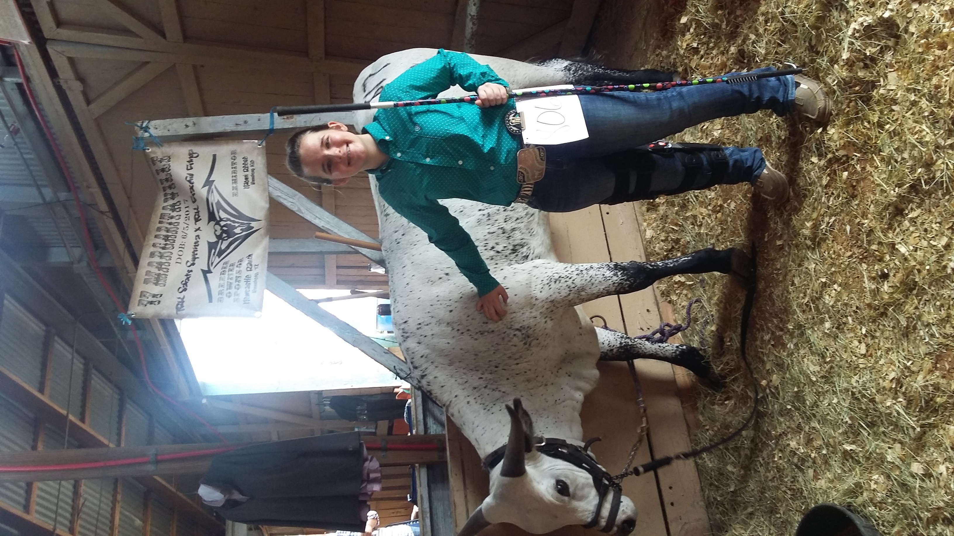 Very first cattle show!