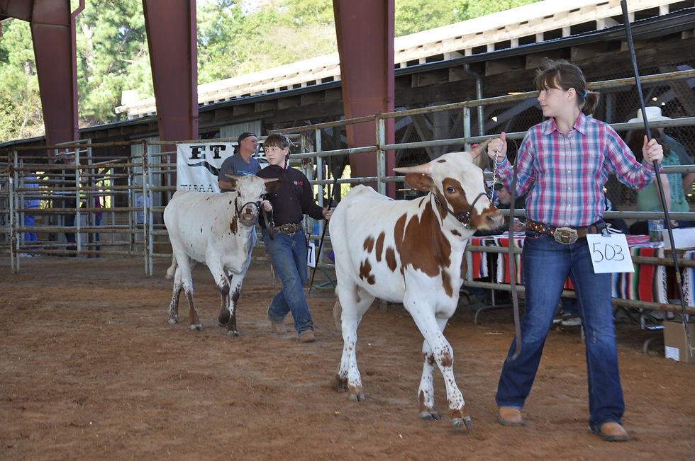 East Texas State Fair - 2011