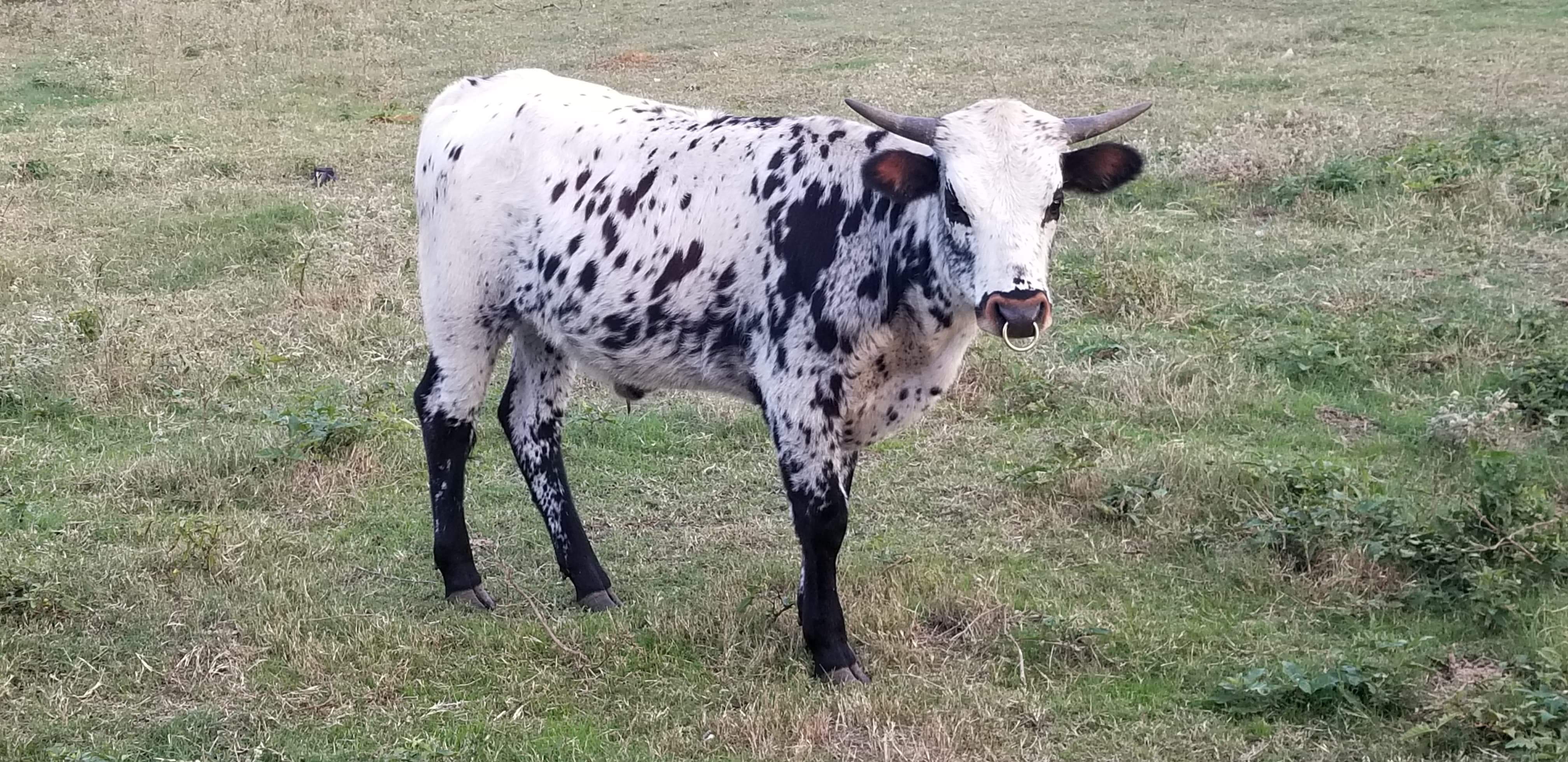 Busta Mooooove is growing good.