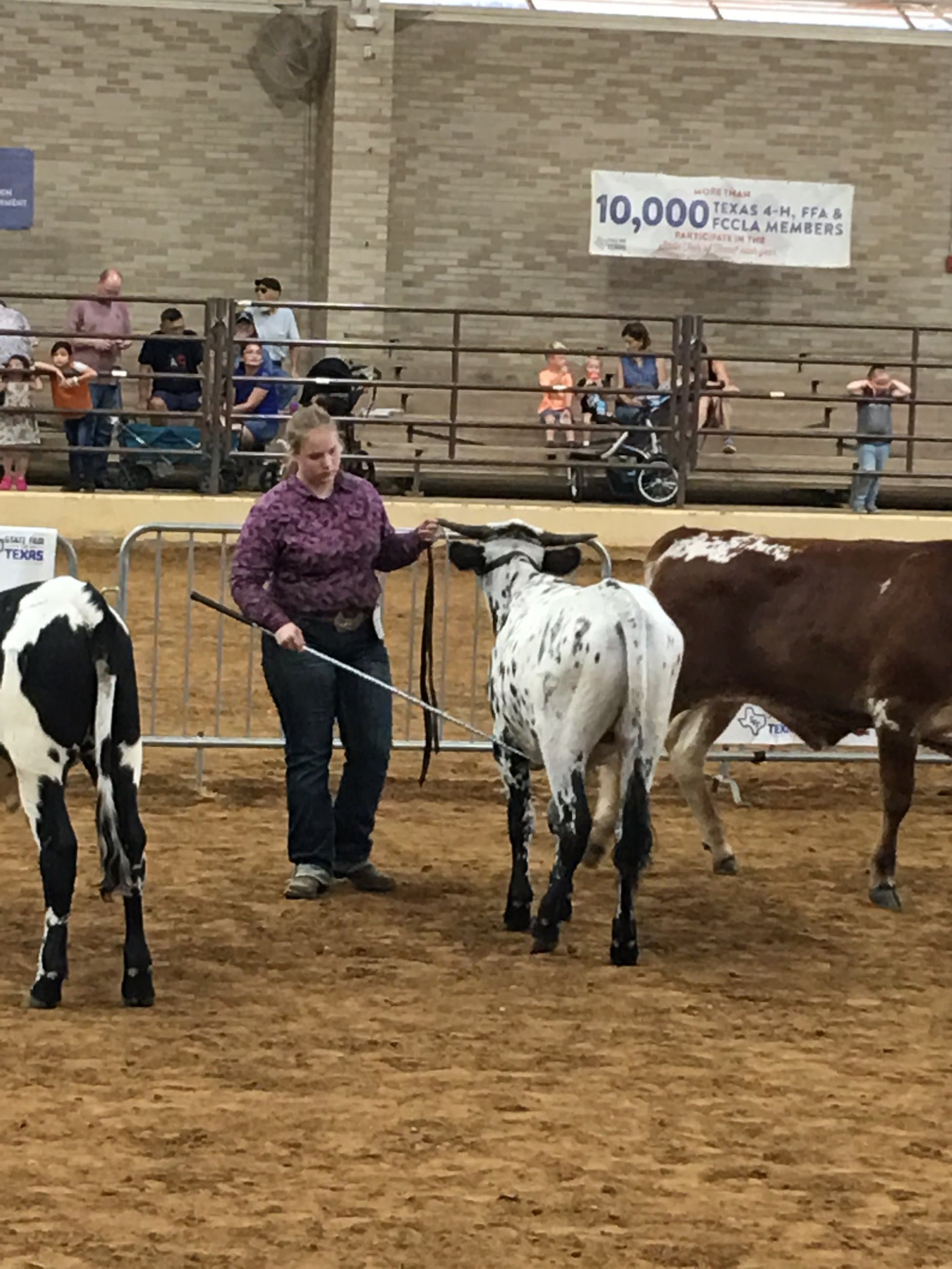 State Fair of Texas