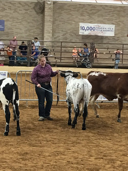 State Fair of Texas
