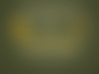 Empowerment in Leadership