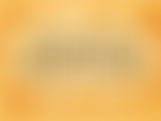 Priceless Perspectives — Issue #5: The Gift of Gratitude