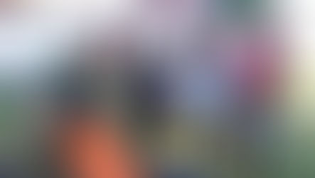 Les pirates à la recherche du trésor