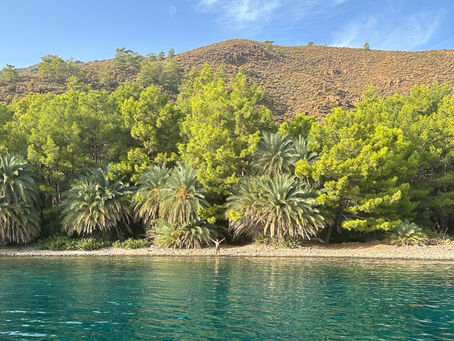Fethiye Filadelfo Tatili ile Beraberinde Yapabileceğiniz  Eğlenceli Aktiviteler!