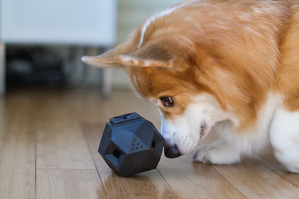 interactive_puzzle_dog_toy_the_odin_up_d