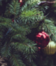 Christmas Pine Tree