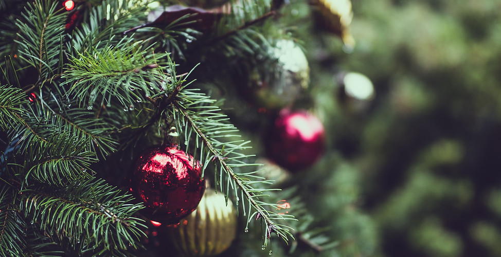 Sapin de Noël