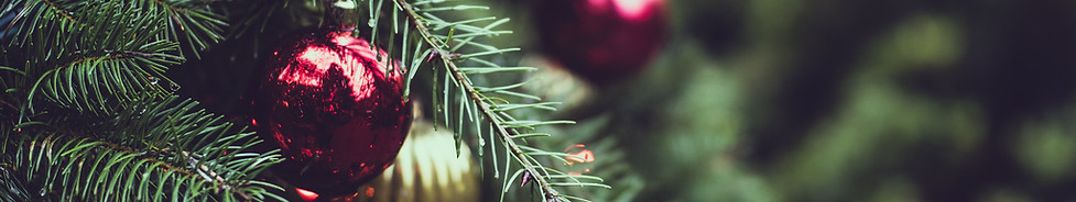 Christmas Pine Tree