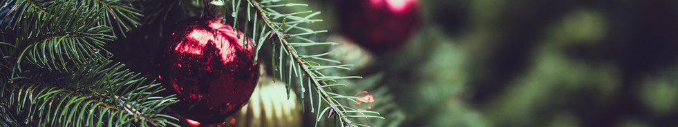 Christmas Pine Tree