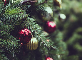 Christmas Pine Tree