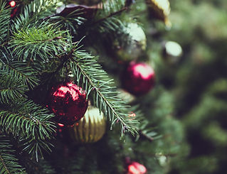 Christmas Pine Tree