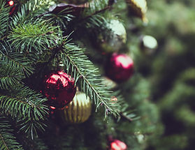 Christmas Pine Tree