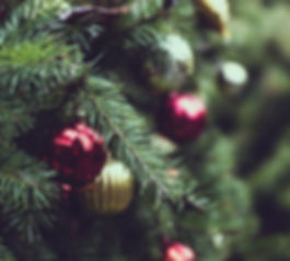 Christmas Pine Tree