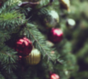 Christmas Pine Tree