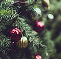 Christmas Pine Tree