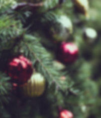 Pinheiro de Natal