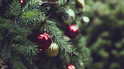Christmas Pine Tree