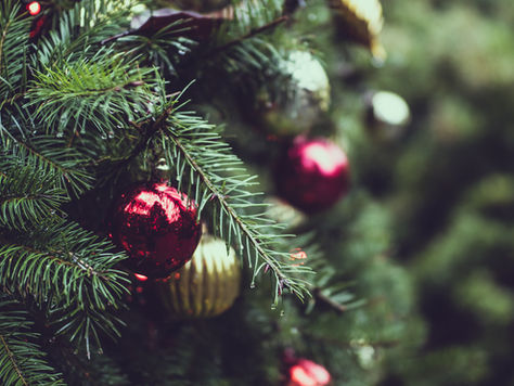 Christmas is a Season to Fall in Love