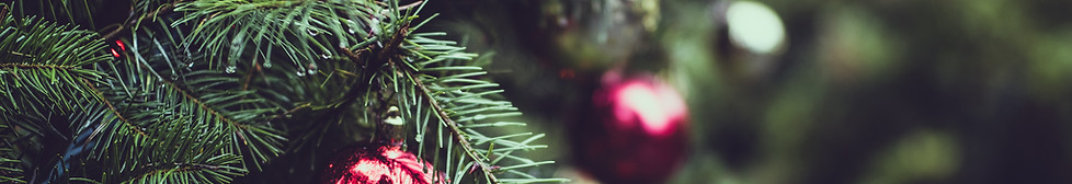 Christmas Pine Tree