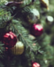 Christmas Pine Tree
