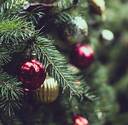 Christmas Pine Tree