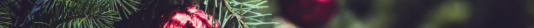 Christmas Pine Tree