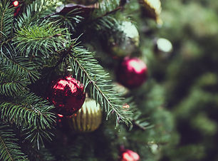 クリスマスパインツリー