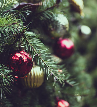 Christmas Pine Tree