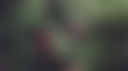 Christmas is fast approaching guys.