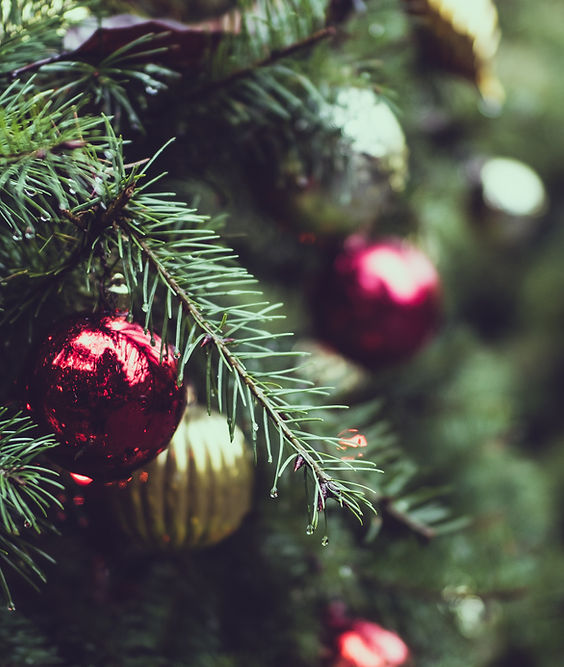 IKEA Events - "Have a Holidate in IKEA East Palo Alto!"