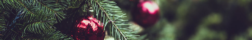 Christmas Pine Tree