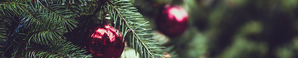 Christmas Pine Tree