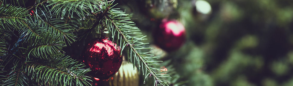 Christmas Pine Tree