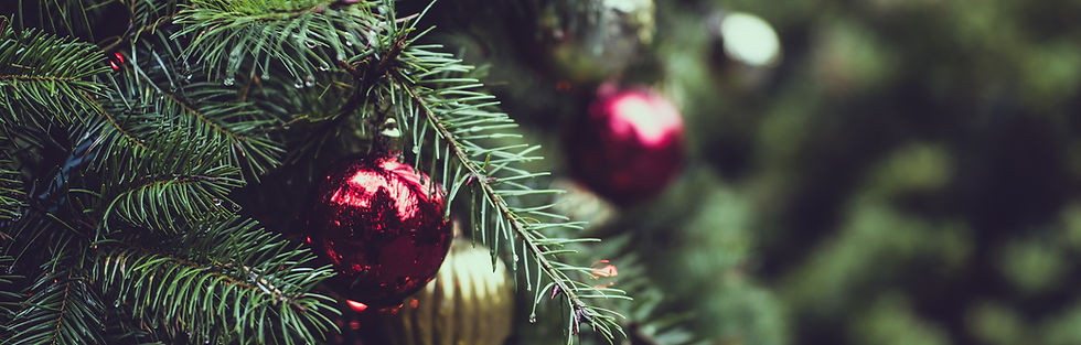 Christmas Pine Tree