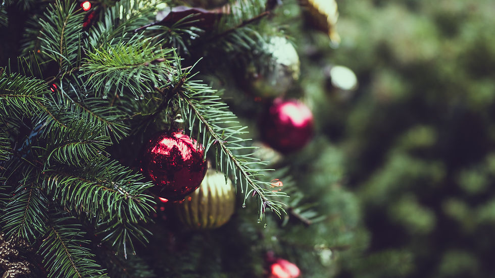 Decorações De Árvore De Natal