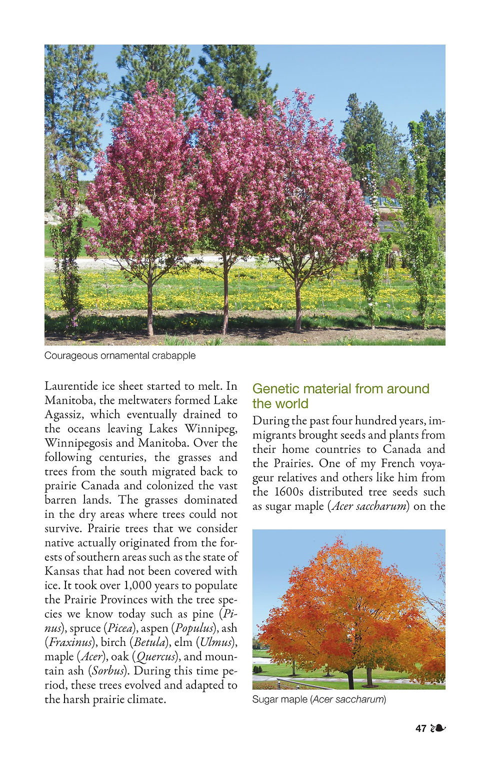 Thumbnail: 2023: Climate-Aware Gardening