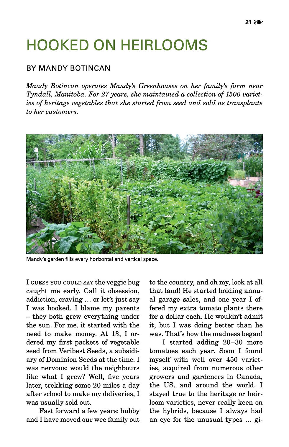 Thumbnail: 2019: Growing Food