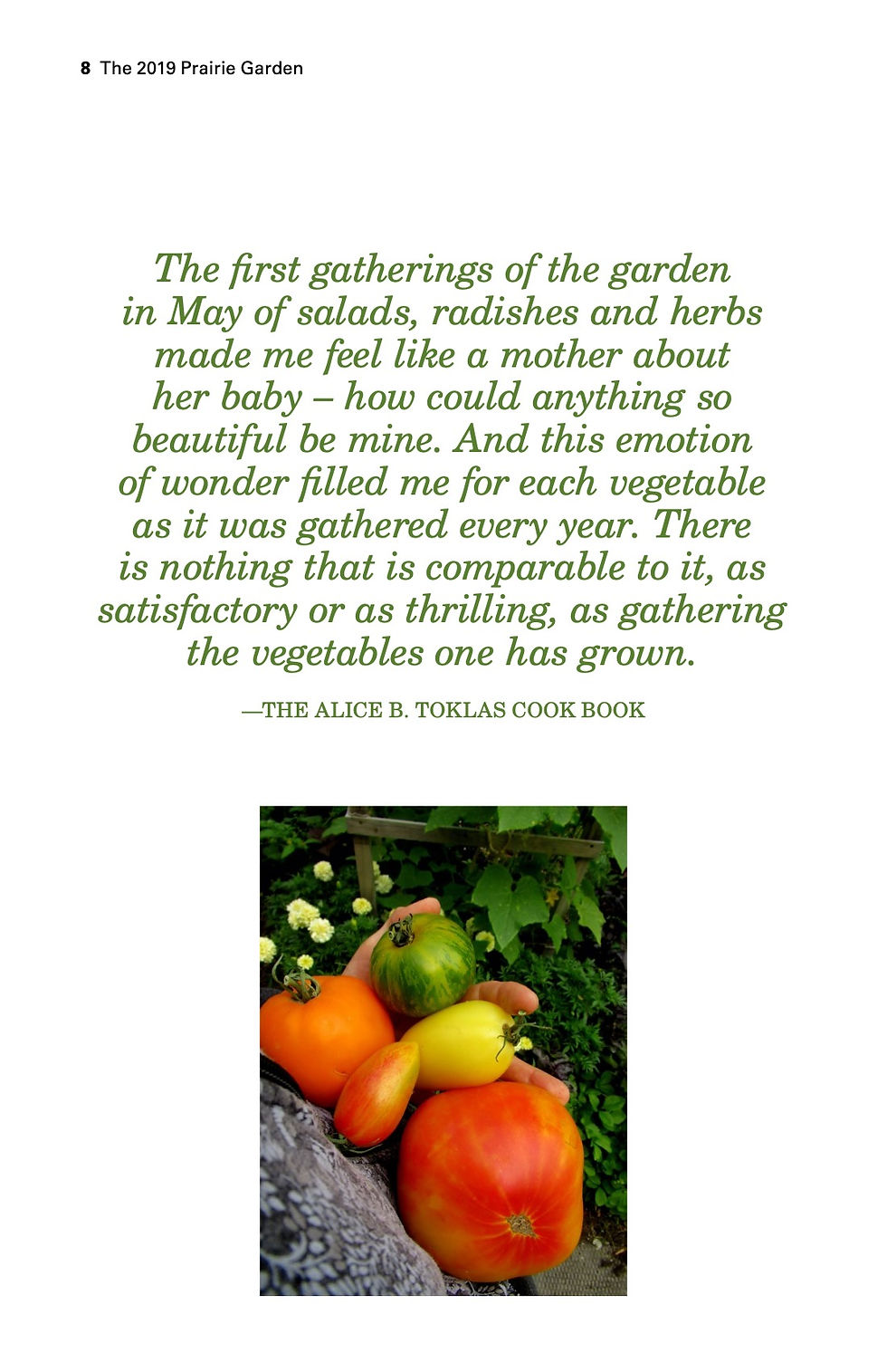 Thumbnail: 2019: Growing Food