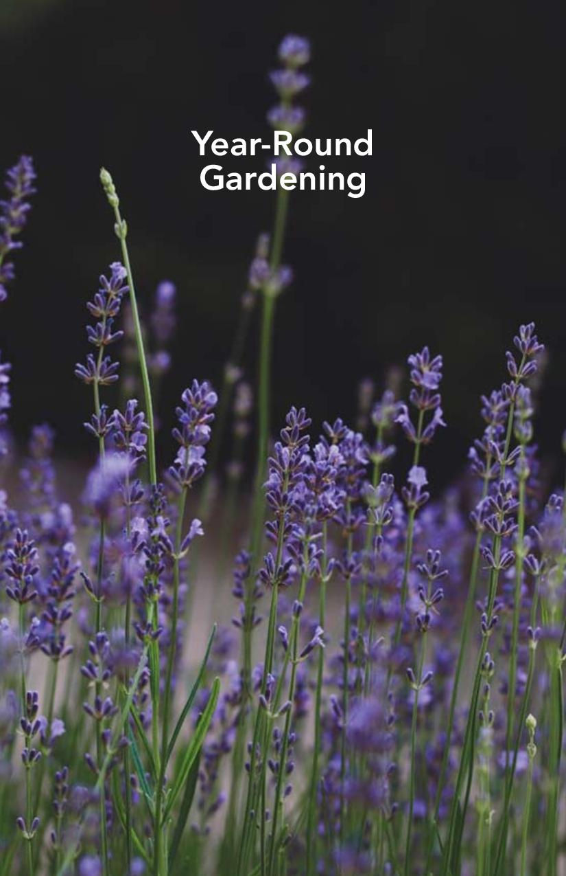 Thumbnail: 2024: Year-Round Gardening