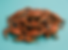 Firefly_remove the mallet 6476.png