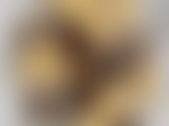 Coconut Macaroon Tartlets