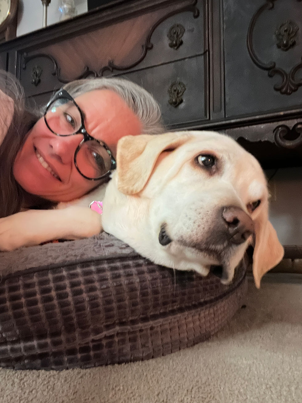 Dogs are Therapy in Change