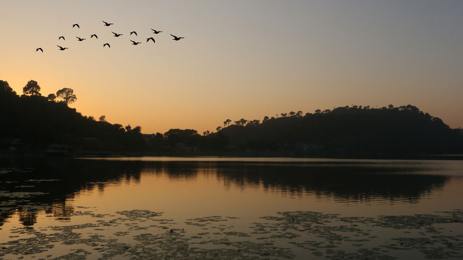 Surinsar Lake (1).jpg