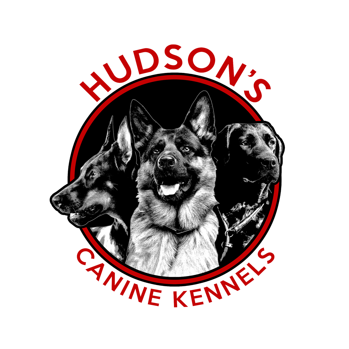 Hudson's Canine Kennels Dog training and behavior rehabilitation classes
