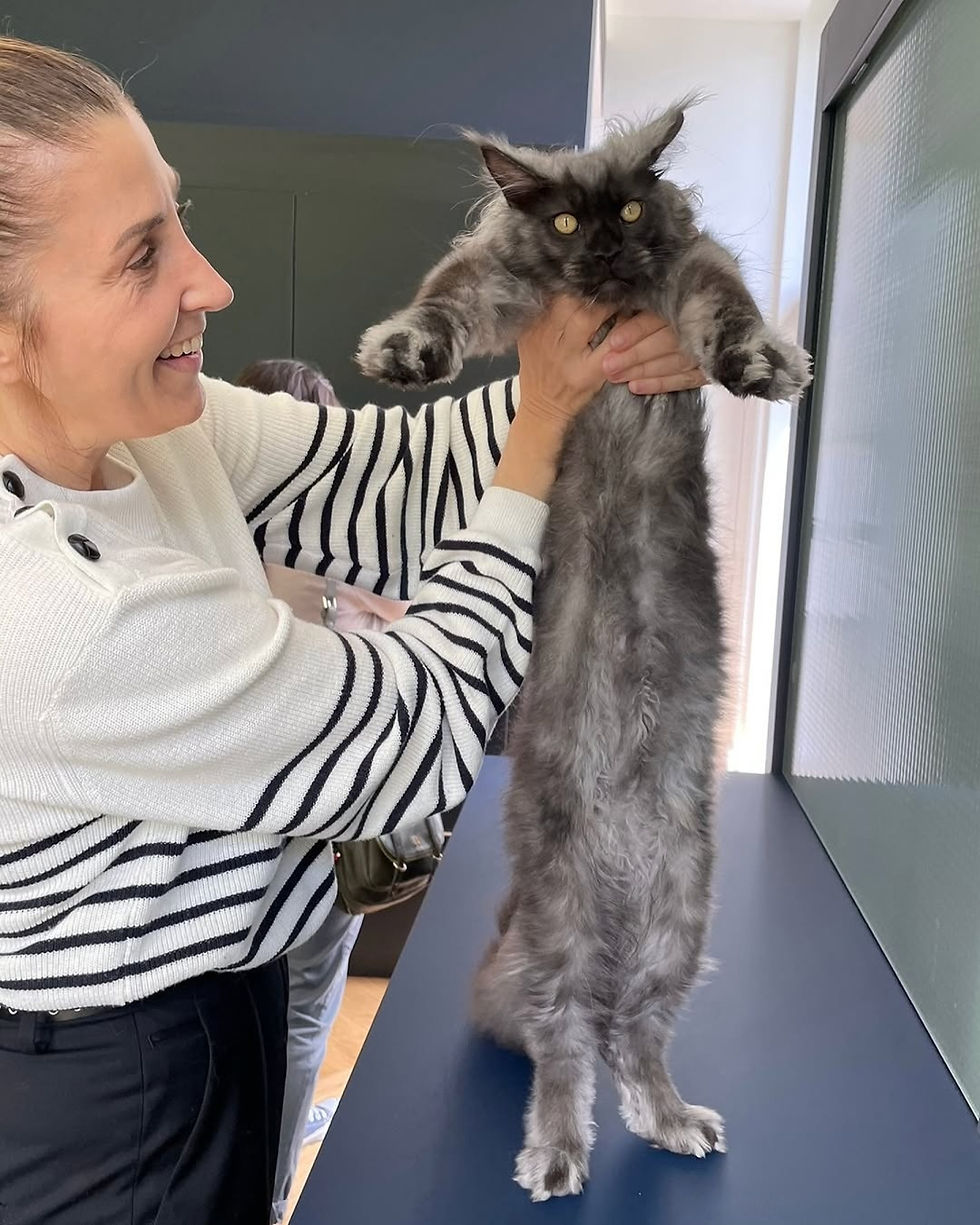 Woman holding cat whiskers and coon