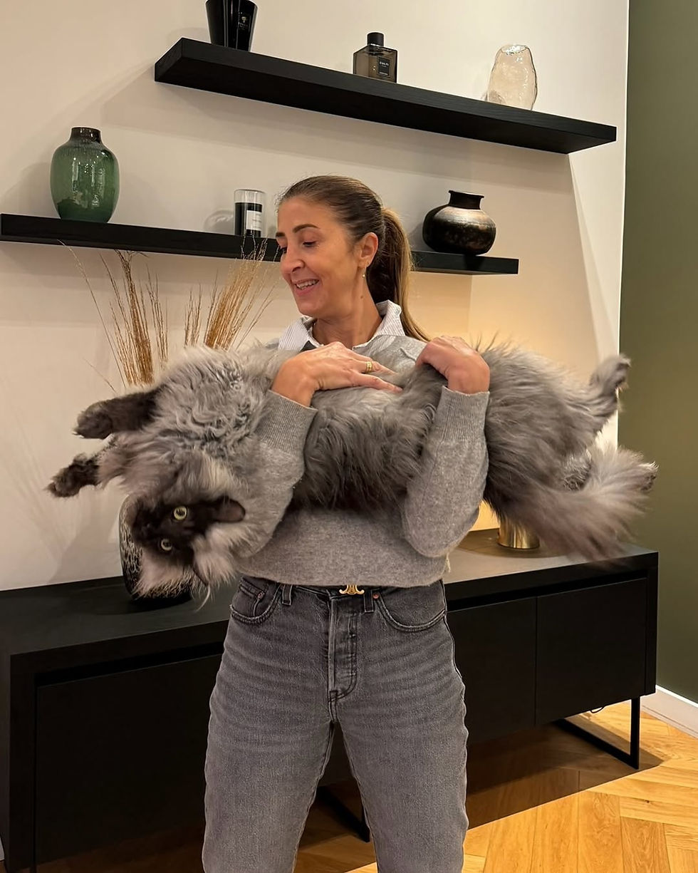 woman holding maine coon whiskers and Coon