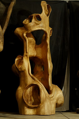 Wood Sculpture by Sylvain Seguin